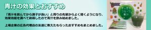 青汁